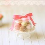 Dollhouse Miniature Food - Sweet Macarons On Glass..