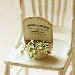 Dollhouse Miniature - French Chic Ivy Plant